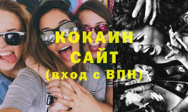 прущий лед Алзамай