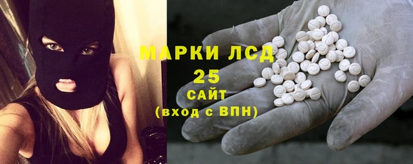 прущий лед Алзамай