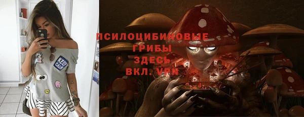 прущий лед Алзамай