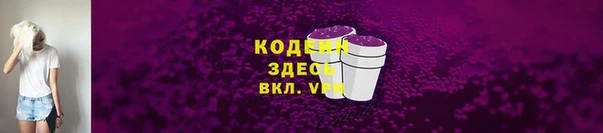прущий лед Алзамай