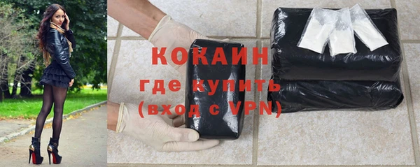 прущий лед Алзамай