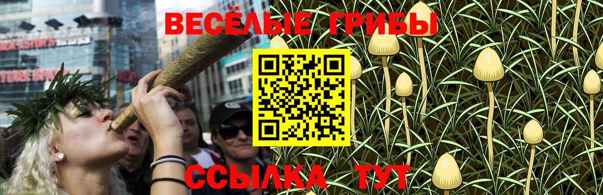 Где купить  Мефедрон   НБОМе  COCAIN  Вход с VPN  Бошки Шишки  Дмитров  ГАШИШ 