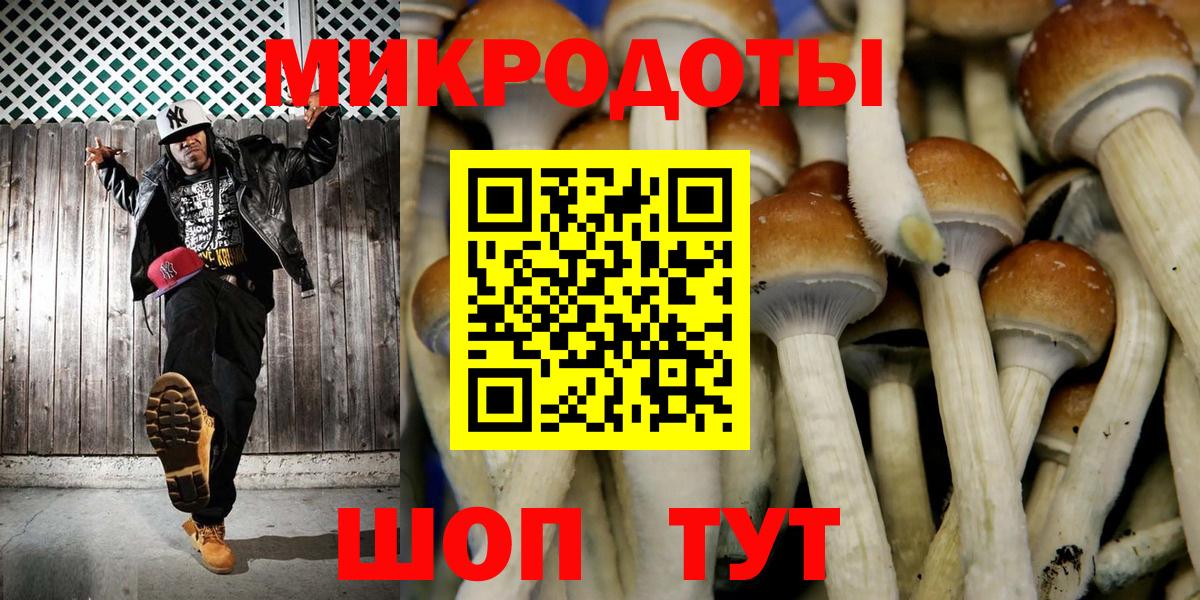 Дмитров  Галлюциногенные грибы GOLDEN TEACHER  Вход с VPN 