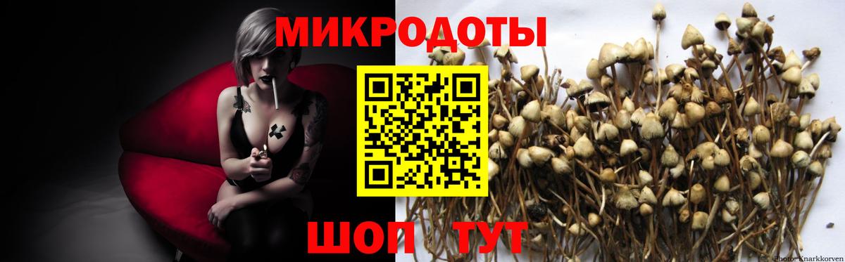 Галлюциногенные грибы ЛСД Дмитров