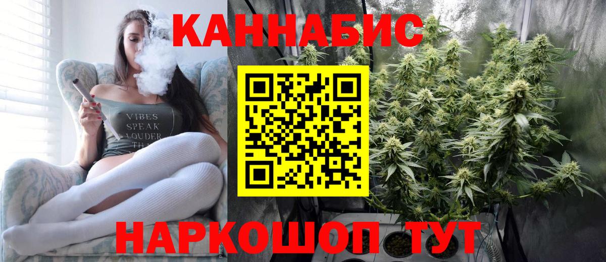 Конопля гибрид Дмитров